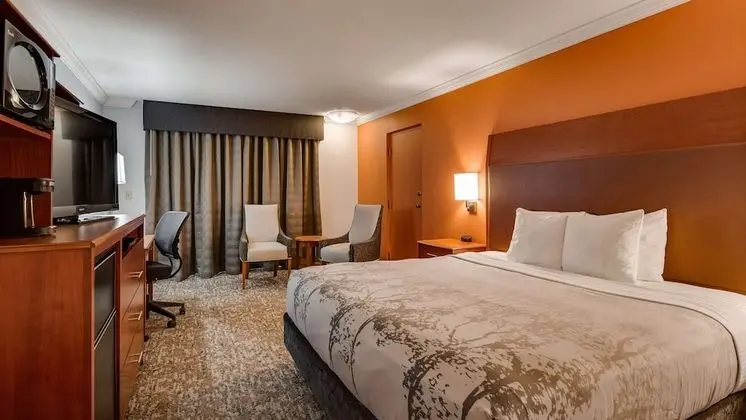 Standard Oda, 1 En Büyük (King) Boy Yatak ve Çekyat, Engellilere Uygun (with Sofabed)