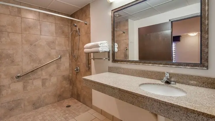 Standard Oda, 1 En Büyük (King) Boy Yatak ve Çekyat, Engellilere Uygun (with Sofabed)