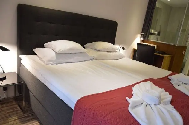 Superior Oda, 1 En Büyük (King) Boy Yatak, Sigara İçilmez