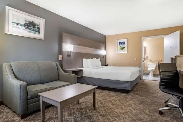 Standard Oda, 1 En Büyük (King) Boy Yatak, Engellilere Uygun, Küvet (Bathtub)