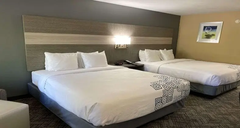 Standard Oda, 2 Büyük (Queen) Boy Yatak, Sigara İçilmez, Havuz Manzaralı (Pet Friendly)