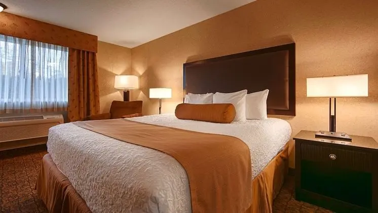 Standard Oda, 1 En Büyük (King) Boy Yatak, Sigara İçilmez, Şömine (Adults Only Whirlpool)