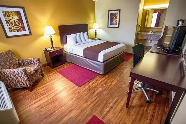 Standard Oda, 1 Büyük (Queen) Boy Yatak, Sigara İçilmez (Pet Friendly)