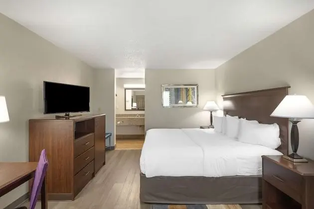 Standard Oda, 1 Büyük (Queen) Boy Yatak, Sigara İçilmez (Pet Friendly)