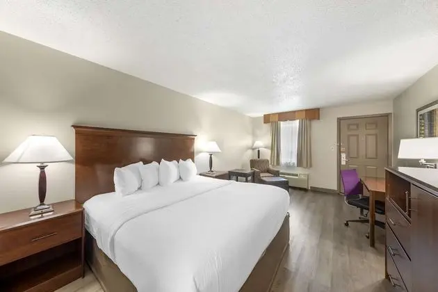 Standard Oda, 1 Büyük (Queen) Boy Yatak, Sigara İçilmez (Pet Friendly)