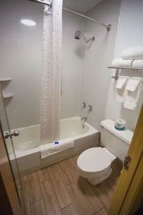 Standard Oda, 1 Büyük (Queen) Boy Yatak, Sigara İçilmez (Pet Friendly)
