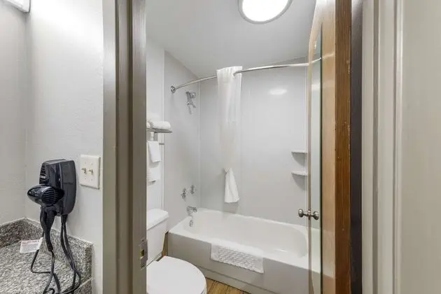 Standard Oda, 1 Büyük (Queen) Boy Yatak, Sigara İçilmez (Pet Friendly)