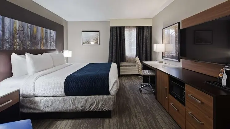 Standard Oda, 1 En Büyük (King) Boy Yatak, Sigara İçilmez, Buzdolabı ve Mikrodalga (Walk-in Shower)