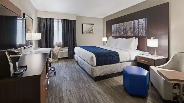 Standard Oda, 1 En Büyük (King) Boy Yatak, Sigara İçilmez, Buzdolabı ve Mikrodalga (Walk-in Shower)