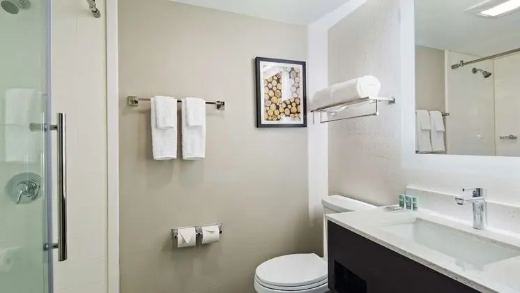 Standard Oda, 1 En Büyük (King) Boy Yatak, Sigara İçilmez, Buzdolabı ve Mikrodalga (Walk-in Shower)