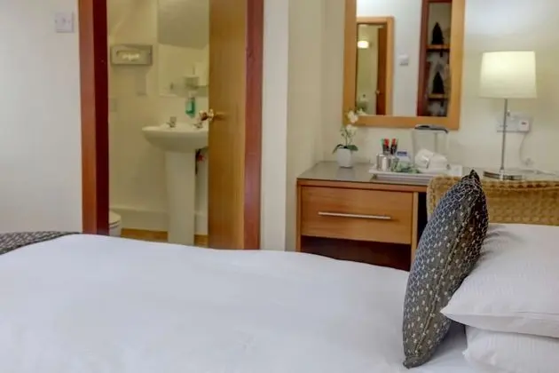 Deluxe Oda, 2 Tek Kişilik Yatak, Sigara İçilmez