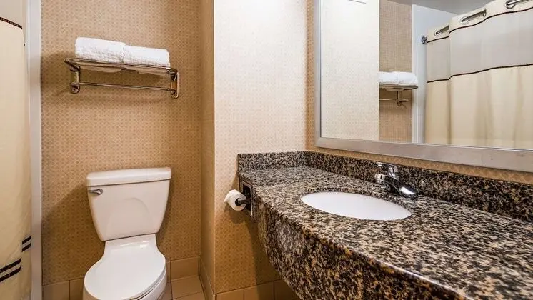 Standard Oda, 1 En Büyük (King) Boy Yatak, Sigara İçilmez, Buzdolabı