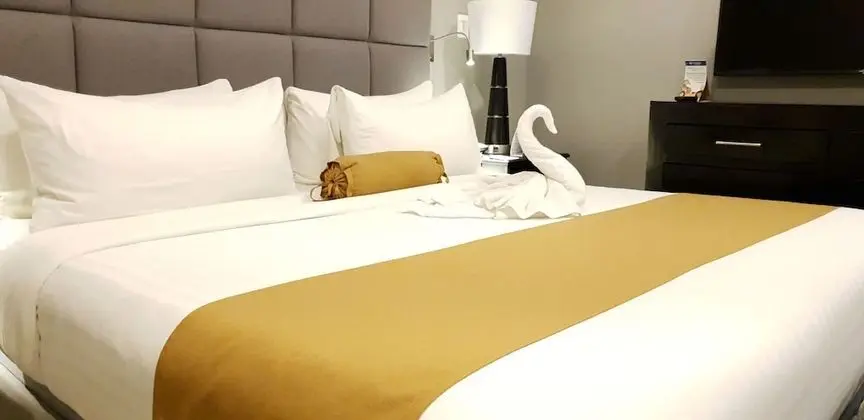 Premium Oda, 1 En Büyük (King) Boy Yatak, Sigara İçilmez, Buzdolabı ve Mikrodalga