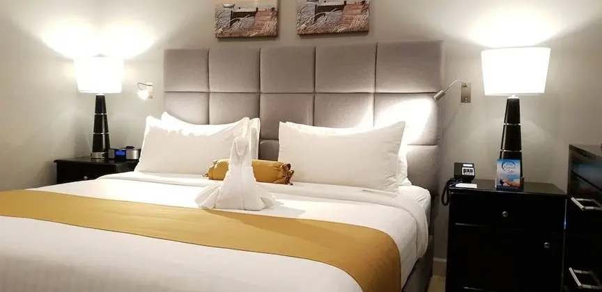 Premium Oda, 1 En Büyük (King) Boy Yatak, Sigara İçilmez, Buzdolabı ve Mikrodalga