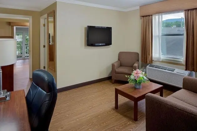 Süit, 1 En Büyük (King) Boy Yatak, Sigara İçilmez (Living Room;with Sofabed)