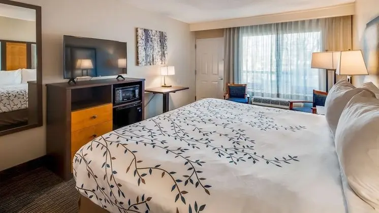 Standard Oda, 1 En Büyük (King) Boy Yatak, Sigara İçilmez, Balkon