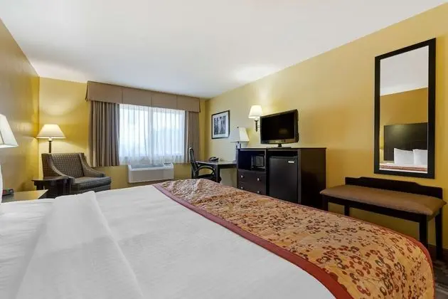 Standard Oda, Birden Çok Yatak, Sigara İçilmez, Buzdolabı ve Mikrodalga (Larger Room)