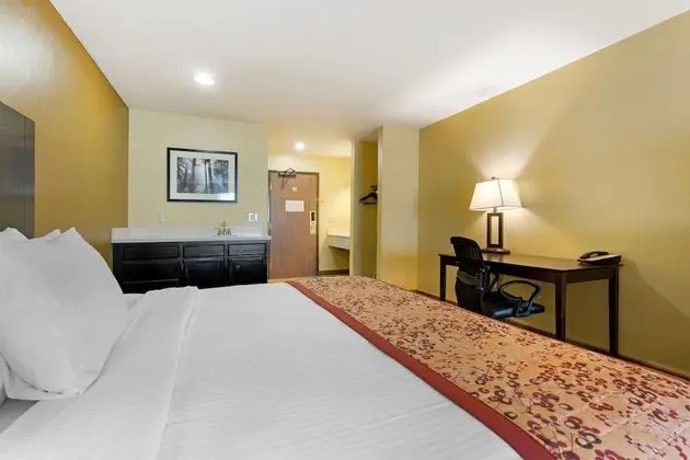 Standard Oda, Birden Çok Yatak, Sigara İçilmez, Buzdolabı ve Mikrodalga (Larger Room)