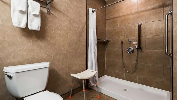 Standard Oda, 1 En Büyük (King) Boy Yatak, Engellilere Uygun, Sigara İçilmez (Walk-in Shower)