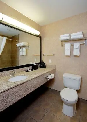Standard Oda, 2 Büyük (Queen) Boy Yatak, Sigara İçilmez, Zemin Kat (Pet Friendly)