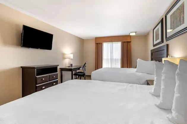 Standard Oda, 2 Büyük (Queen) Boy Yatak, Sigara İçilmez, Buzdolabı ve Mikrodalga (Pet Friendly)