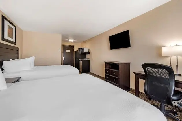 Standard Oda, 2 Büyük (Queen) Boy Yatak, Sigara İçilmez, Buzdolabı ve Mikrodalga (Pet Friendly)