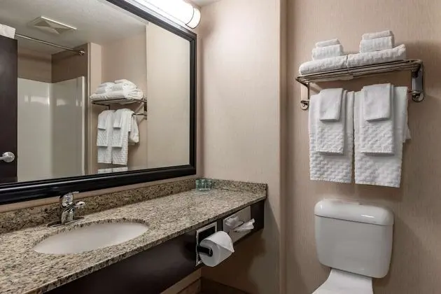 Standard Oda, 2 Büyük (Queen) Boy Yatak, Sigara İçilmez, Buzdolabı ve Mikrodalga (Pet Friendly)