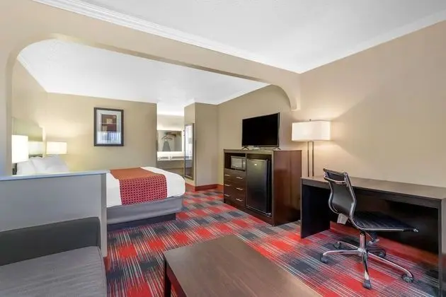 Standard Oda, 1 En Büyük (King) Boy Yatak, Engellilere Uygun, Buzdolabı ve Mikrodalga