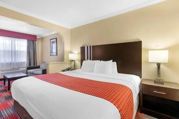 Standard Oda, 1 En Büyük (King) Boy Yatak, Engellilere Uygun, Buzdolabı ve Mikrodalga