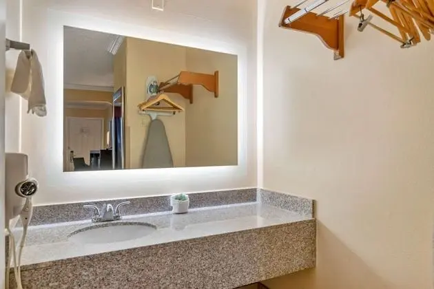 Standard Oda, 1 En Büyük (King) Boy Yatak, Sigara İçilmez, Buzdolabı ve Mikrodalga (Walk-in Shower)