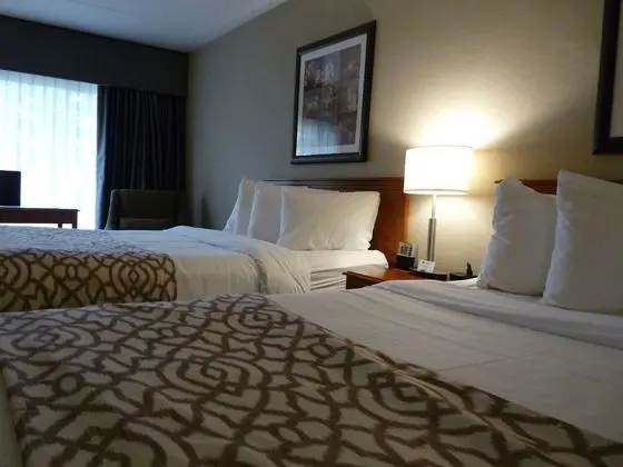 Standard Oda, 2 Çift Kişilik Yatak, Sigara İçilmez (Pet Friendly)