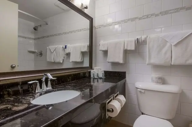 Standard Oda, 2 Çift Kişilik Yatak, Sigara İçilmez (Pet Friendly)