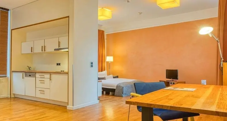 Business Apart Daire, 1 Çift Kişilik Yatak, Küçük Mutfak (Separate Living Room;with Sofabed)