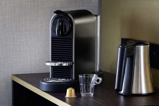 Deluxe Oda, 1 En Büyük (King) Boy Yatak, Sigara İçilmez (Larger Room)