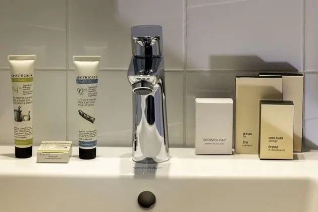 Deluxe Oda, 1 En Büyük (King) Boy Yatak, Sigara İçilmez (Larger Room)