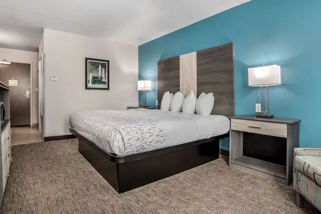 Standard Oda, 1 En Büyük (King) Boy Yatak, Engellilere Uygun, Buzdolabı ve Mikrodalga (Pet Friendly)
