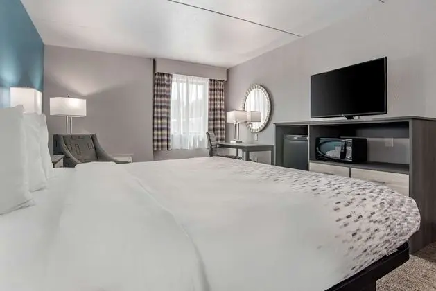 Standard Oda, 1 En Büyük (King) Boy Yatak, Engellilere Uygun, Buzdolabı ve Mikrodalga (Pet Friendly)