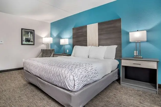 Standard Oda, 1 En Büyük (King) Boy Yatak, Engellilere Uygun, Buzdolabı ve Mikrodalga (Pet Friendly)