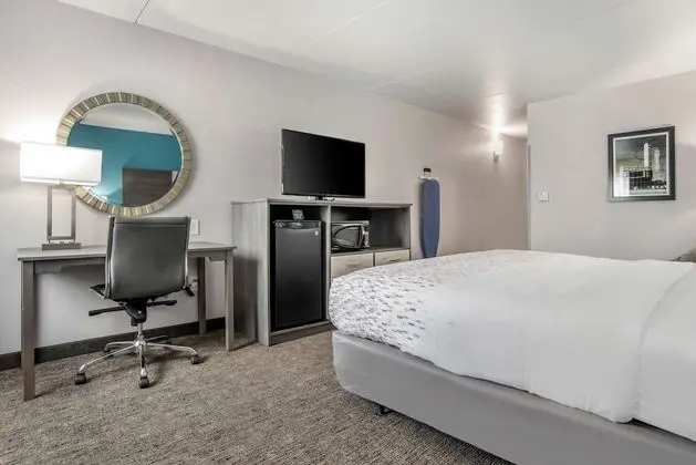 Standard Oda, 1 En Büyük (King) Boy Yatak, Engellilere Uygun, Buzdolabı ve Mikrodalga (Pet Friendly)