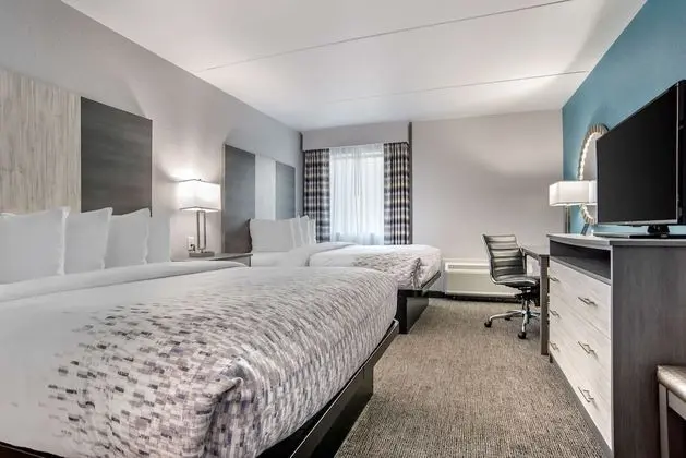 Standard Oda, 2 Büyük (Queen) Boy Yatak, Engellilere Uygun, Buzdolabı ve Mikrodalga (Pet Friendly)