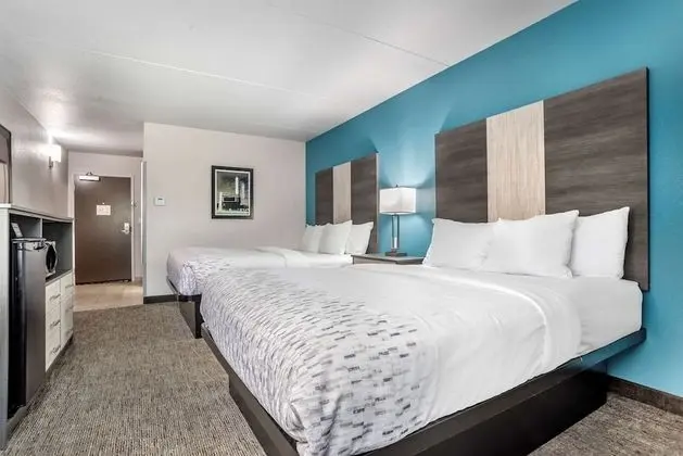 Standard Oda, 2 Büyük (Queen) Boy Yatak, Engellilere Uygun, Buzdolabı ve Mikrodalga (Pet Friendly)