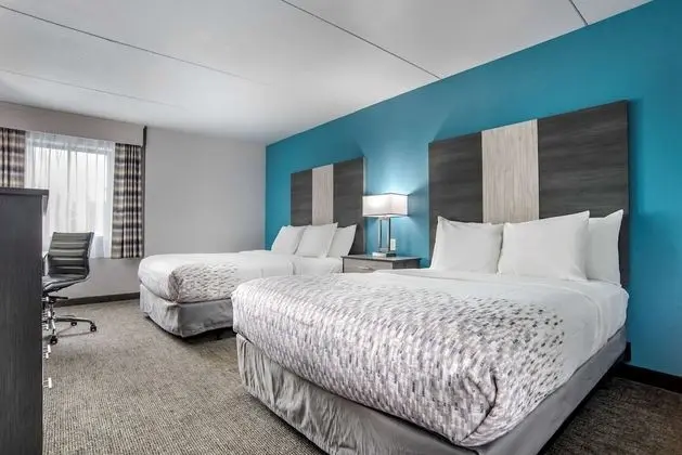 Standard Oda, 2 Büyük (Queen) Boy Yatak, Engellilere Uygun, Buzdolabı ve Mikrodalga (Pet Friendly)