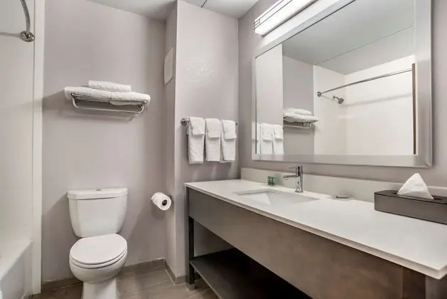 Standard Oda, 2 Büyük (Queen) Boy Yatak, Sigara İçilmez, Buzdolabı ve Mikrodalga (Pet Friendly)