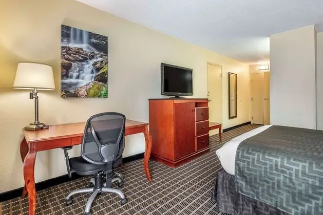 Standard Oda, 1 Büyük (Queen) Boy Yatak, Engellilere Uygun, Buzdolabı ve Mikrodalga