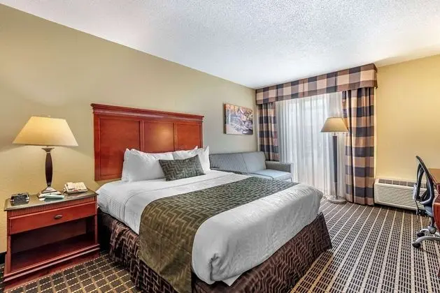 Standard Oda, 1 Büyük (Queen) Boy Yatak, Engellilere Uygun, Buzdolabı ve Mikrodalga