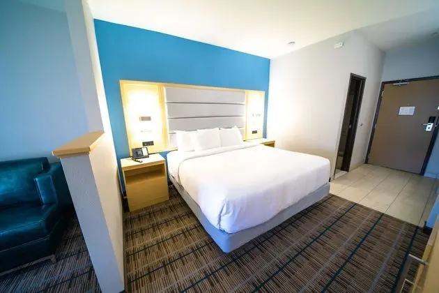 Standard Oda, 1 En Büyük (King) Boy Yatak, Sigara İçilmez (Pet Friendly;with Sofabed)