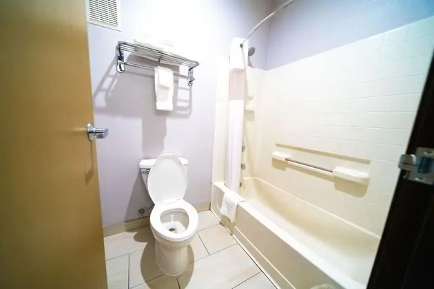 Standard Oda, 1 En Büyük (King) Boy Yatak, Sigara İçilmez (Pet Friendly;with Sofabed)