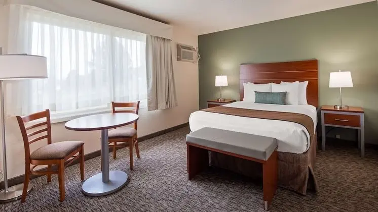 Standard Oda, 1 Büyük (Queen) Boy Yatak, Buzdolabı ve Mikrodalga (Pet Friendly)