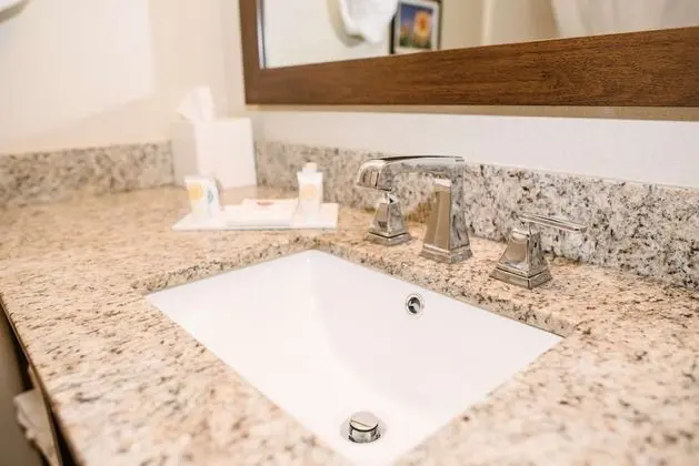 Standard Oda, 1 Büyük (Queen) Boy Yatak, Buzdolabı ve Mikrodalga (Pet Friendly)