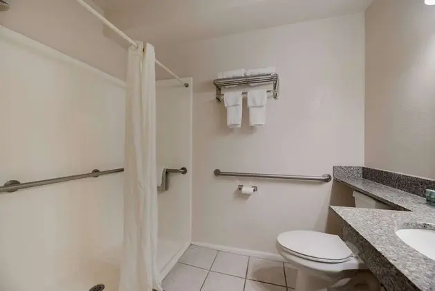 Standard Oda, 1 En Büyük (King) Boy Yatak, Engellilere Uygun, Sigara İçilmez (Roll-in-shower)